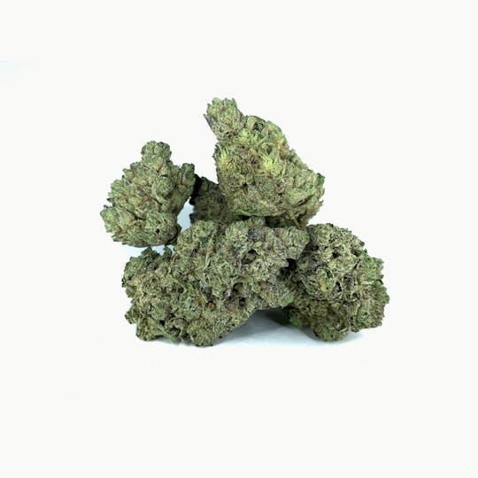 Space Monkey Meds - Blue Walker - COA - 1