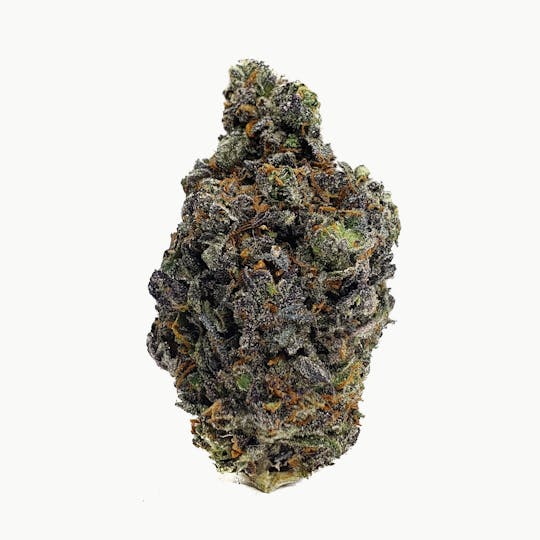 Space Monkey Meds - Gelato 41 - Shatter - 1