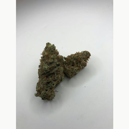 Indico - Amnesia Haze - 1