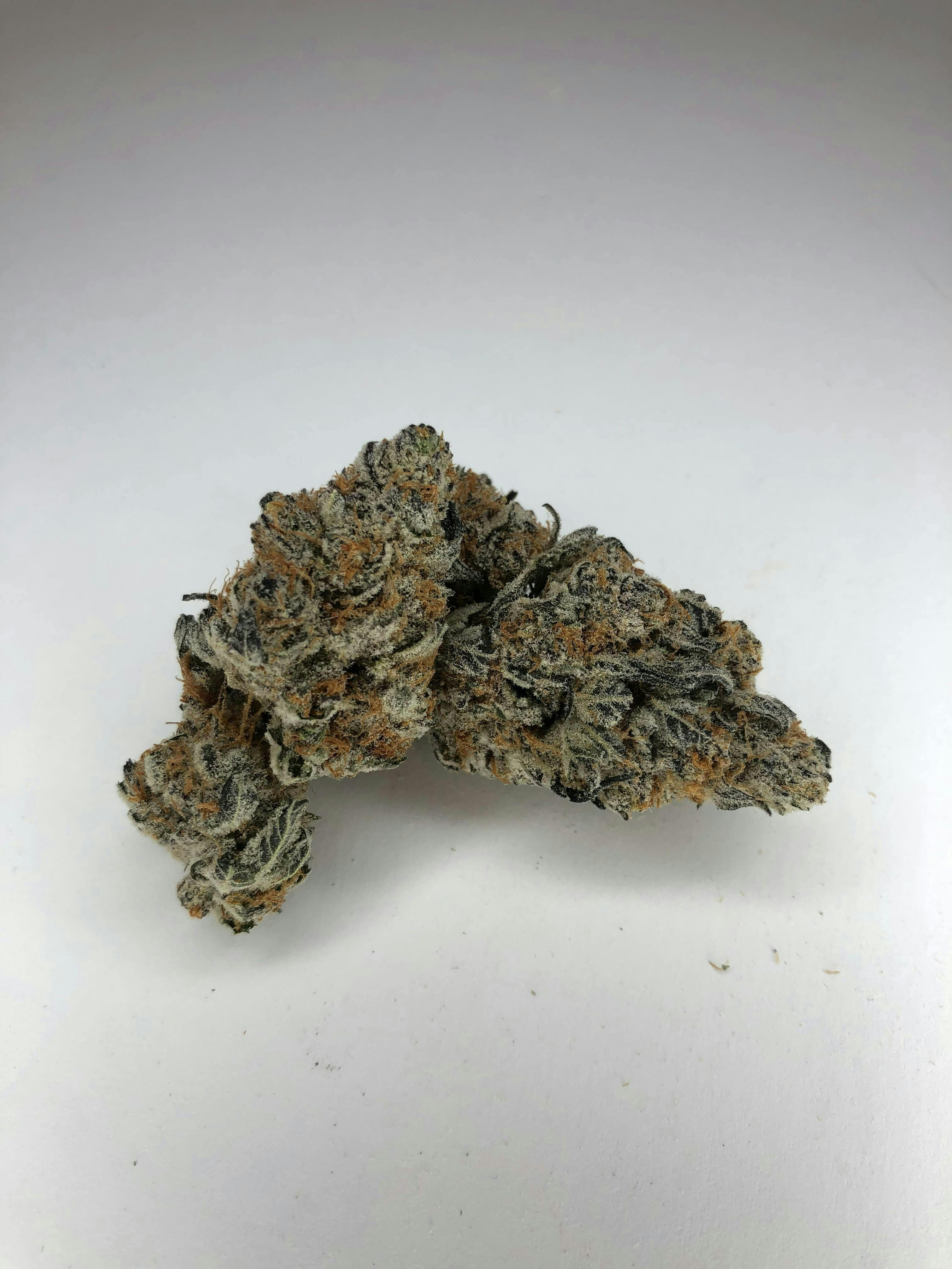 Indico - Mendo Breath - 1