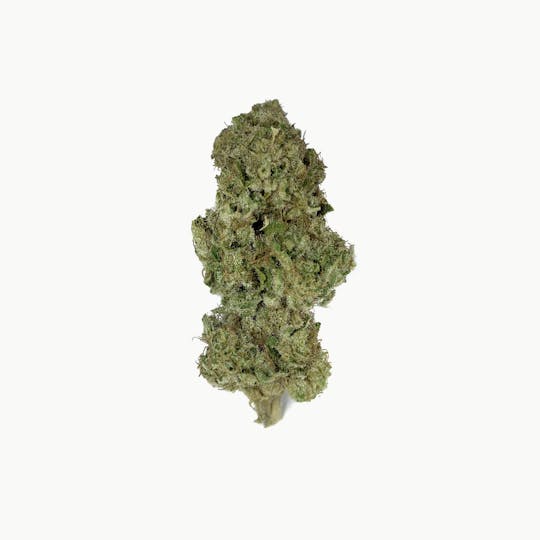 Space Monkey Meds - Vanilla Cream Soda - GH - 1
