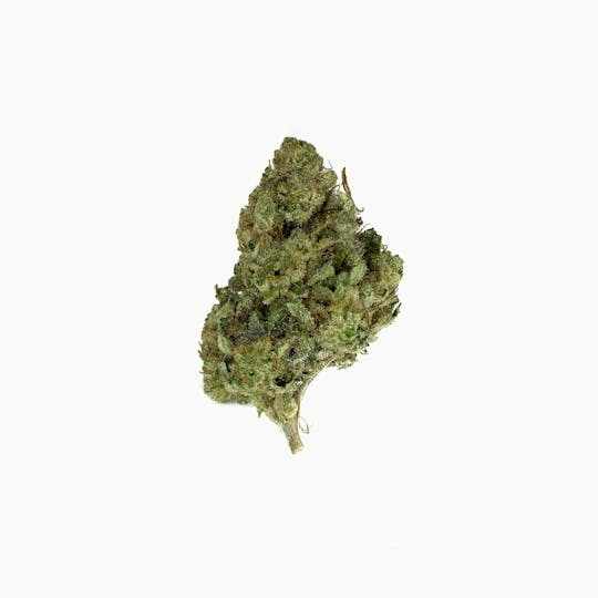 Space Monkey Meds - Marshmallow Cookies - GH - 1