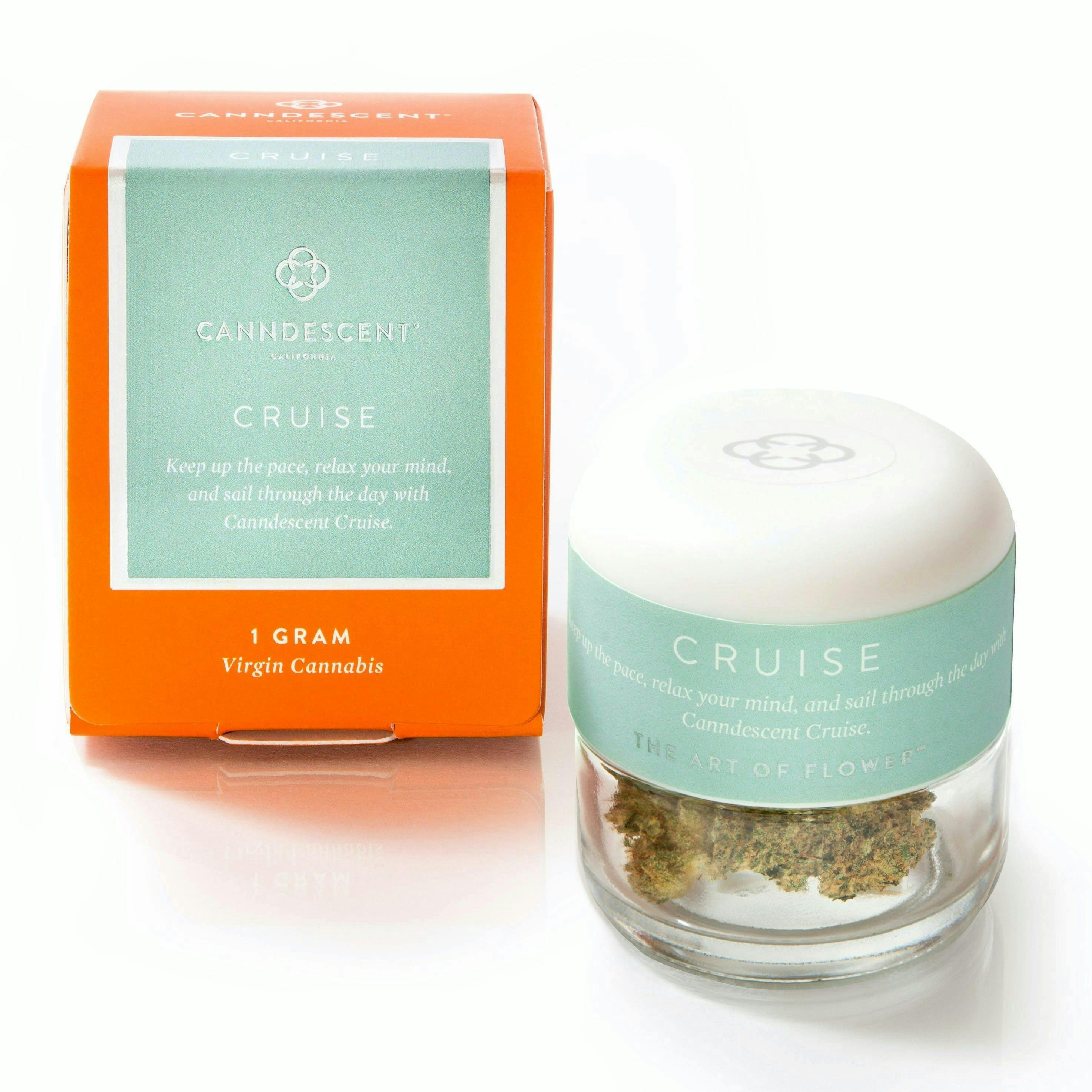 Canndescent - Canndescent | CRUISE | Ice Cream Cake | Big Buds | 1g - 1