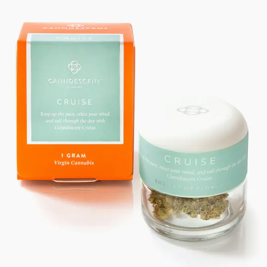 Canndescent - Canndescent | CRUISE | Ice Cream Cake | Big Buds | 1g - 1