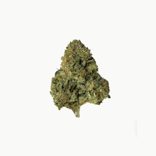 Space Monkey Meds - Mad River Mist - GH - 1