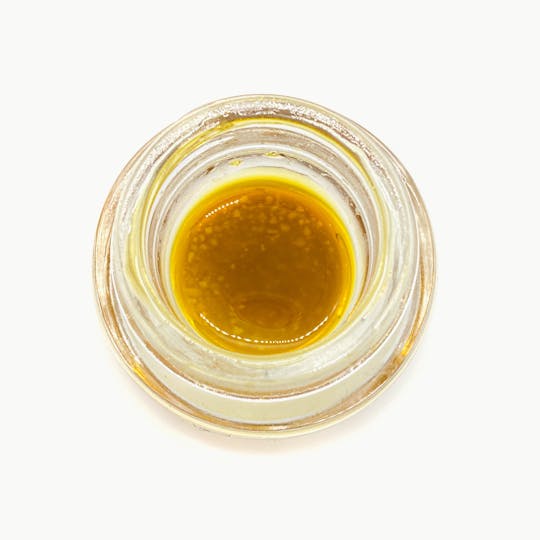 Alien Labs - APEX x Alien Labs - Sauce - Gelato 41 - 1