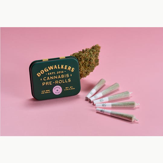 Dogwalkers - Dogwalkers 1.75g Mini Dog Pre-rolls | "Stay" - 1