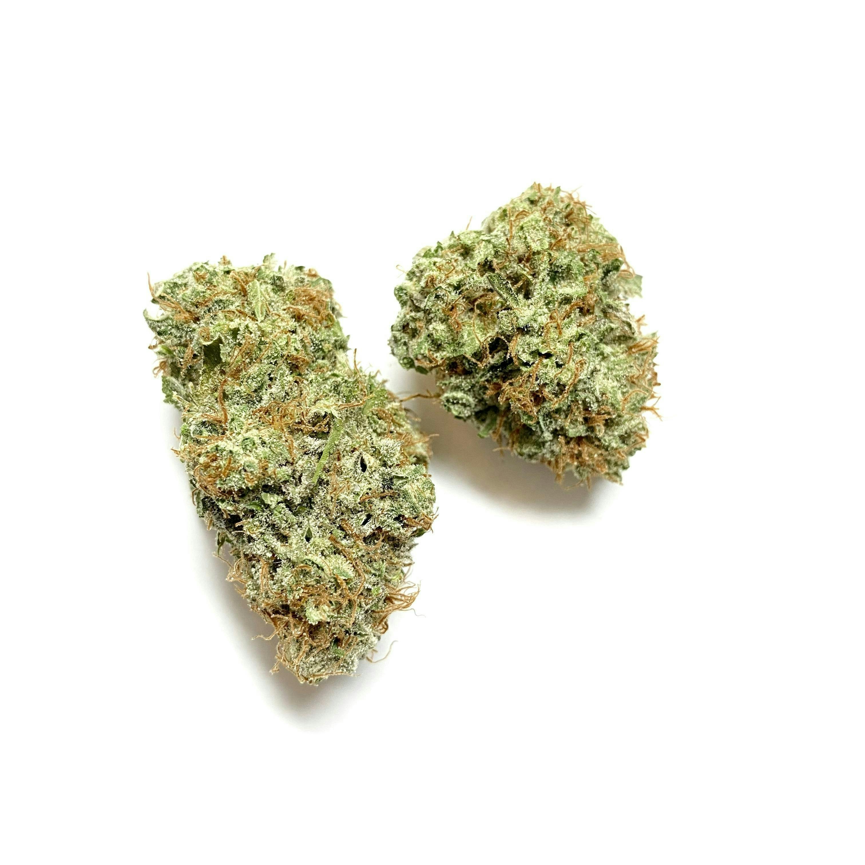 Indico - Purple Sour Bubble - 1