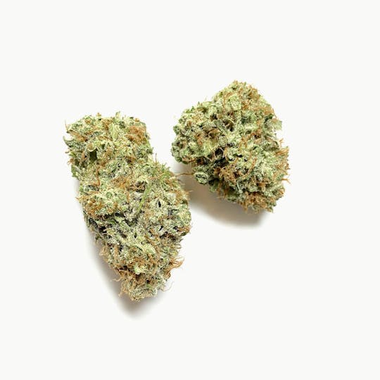 Indico - Purple Sour Bubble - 1
