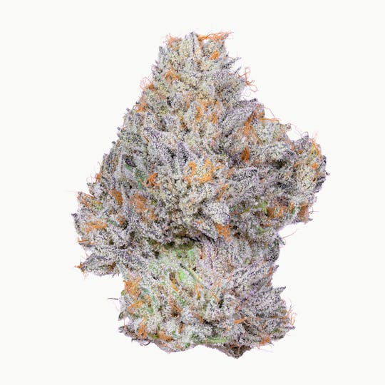 Alien Labs - Creme de Menthe - Indoor - 1