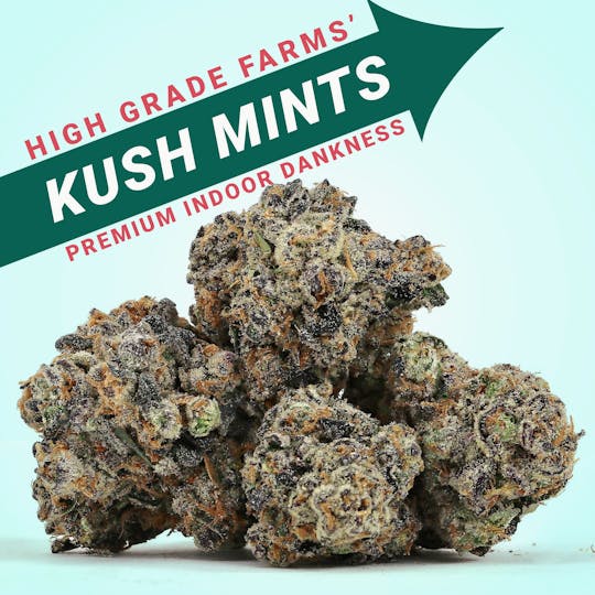 High Grade Farms - Kush Mints 3.5G - 1