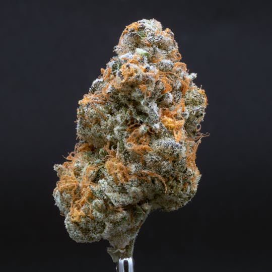 CRU Cannabis - Truffle Butter : Grand CRU (3.5 Grams) - 1