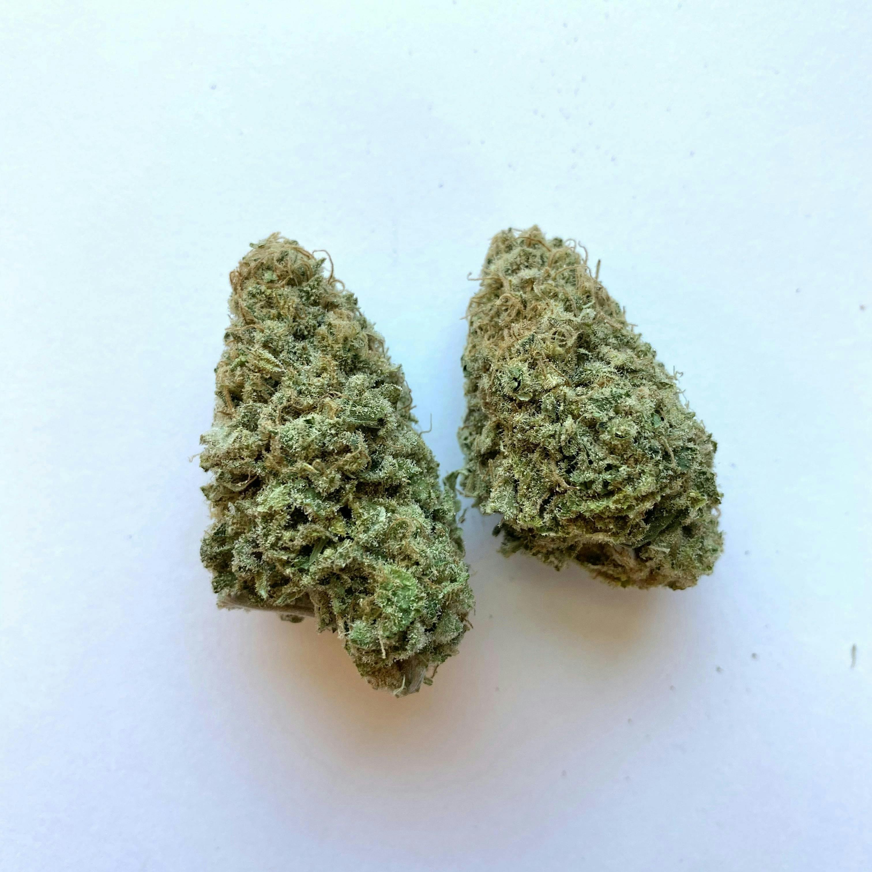 Indico - Time lapse - 1