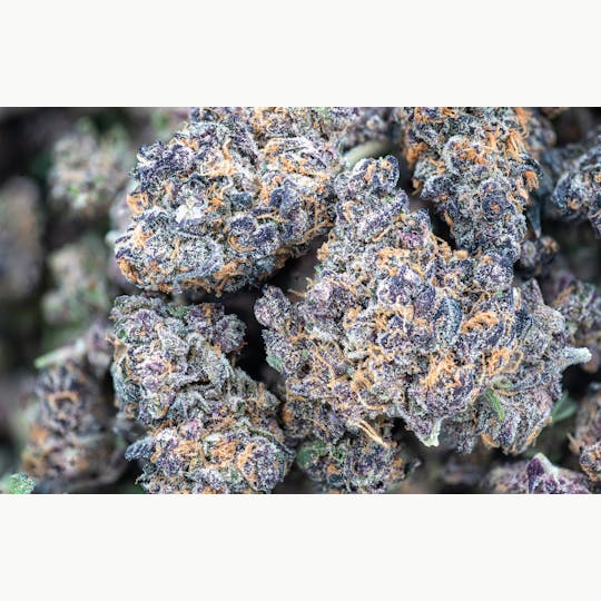 Crux Cannabis - Dog Walker - Fruit Punch .75g - 1