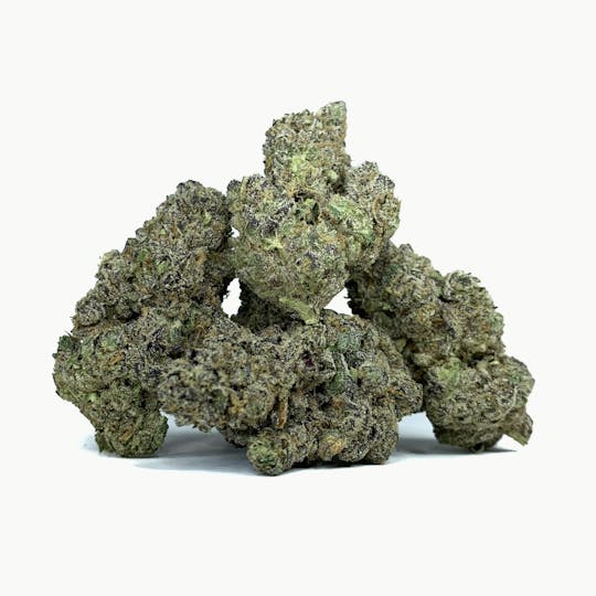 Space Monkey Meds - Hidden Pastry - 1