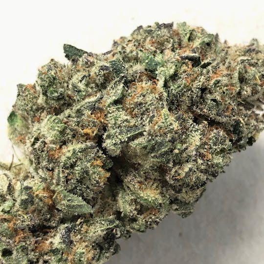 Iron Lung (Medical) - Crunch Berry OG - 1