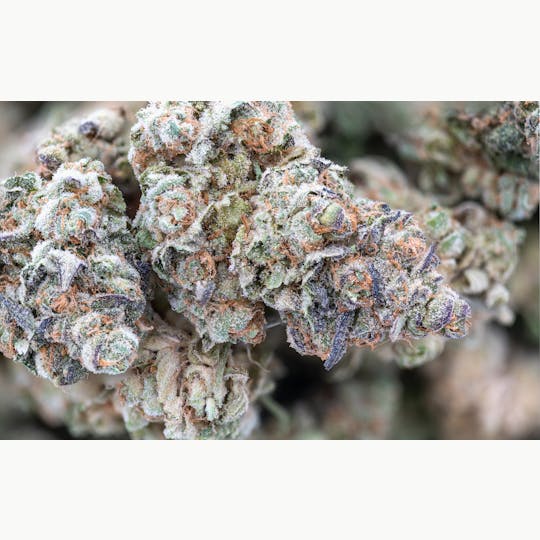 Crux Cannabis - Garlic Breath Flower - 1