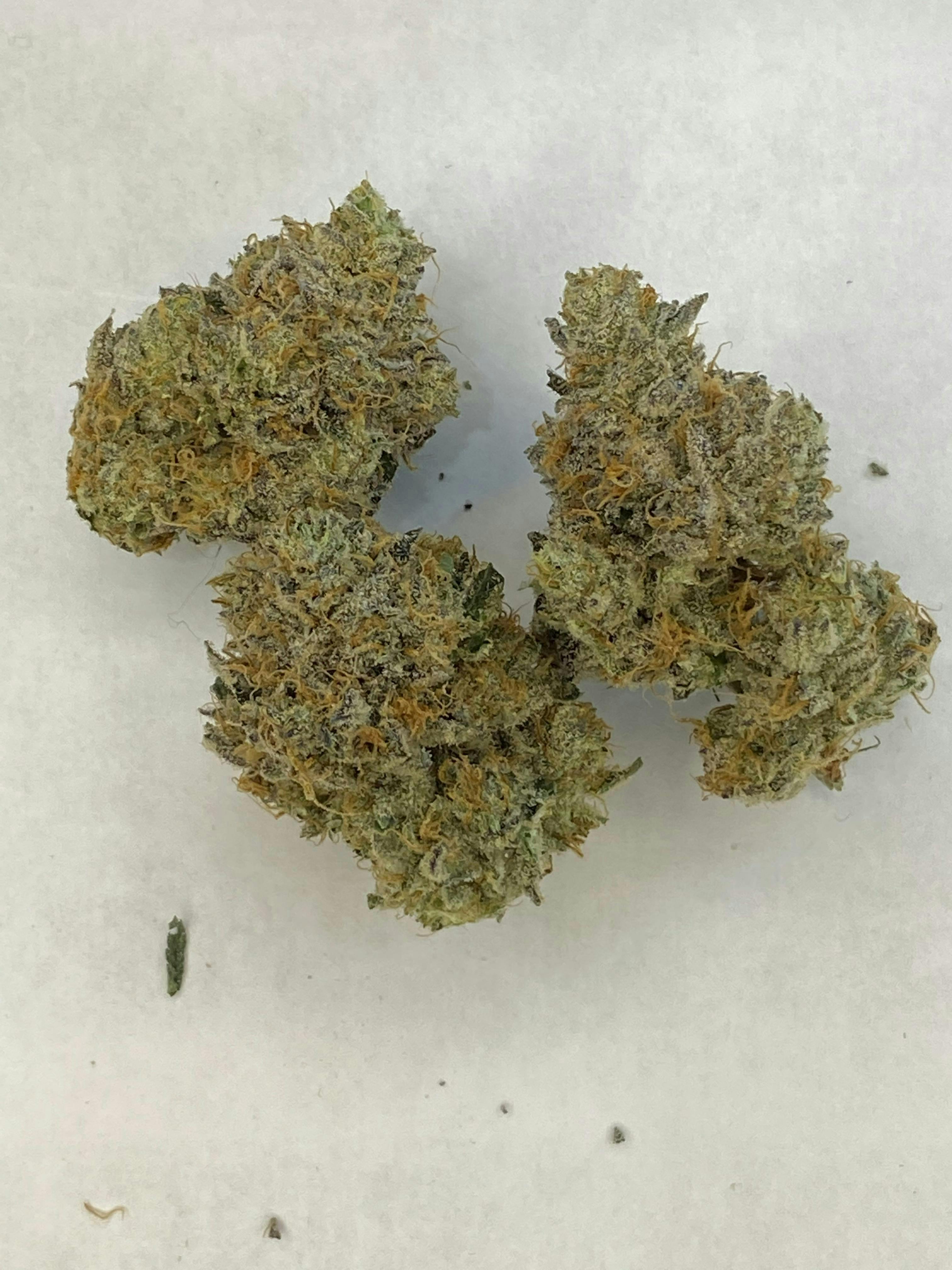 Indico - Girl Scout Glue - 1