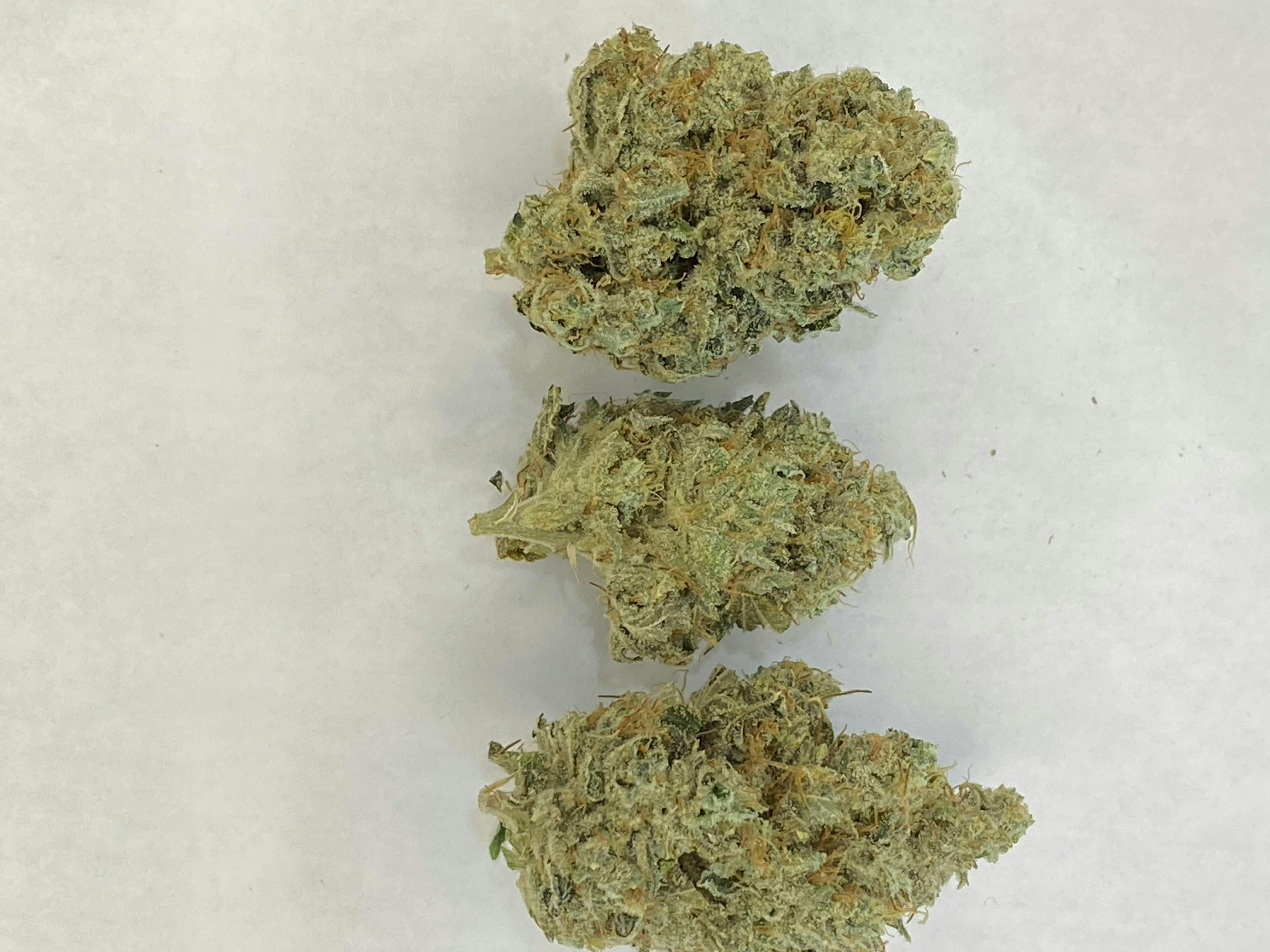 Indico - Chemdog - 1