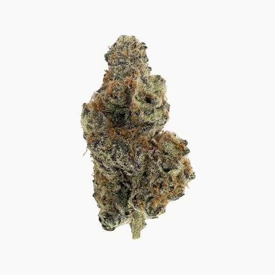 Indico - Lava Cake - 1