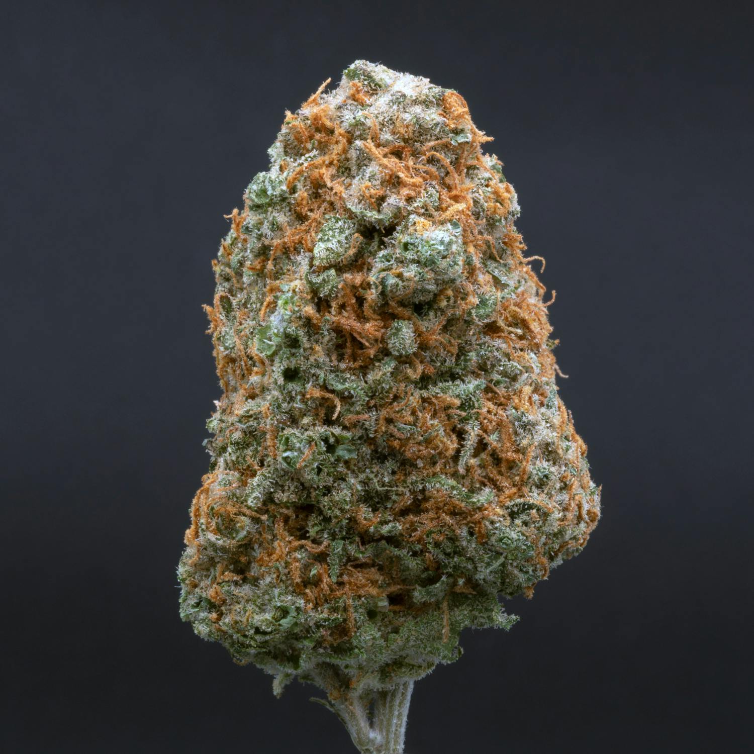 CRU Cannabis - Orange Creamsicle (3.5 Grams) - 1