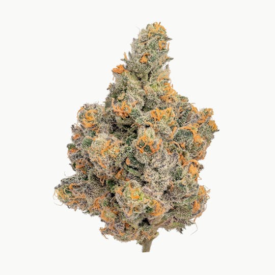 Zero Gravity Cannabis - Flower - Vanilla Frosting 65/35 Indica Dominant - 1