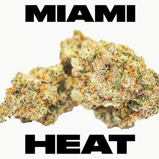 TYSON 2.0 - Miami Heat - 1