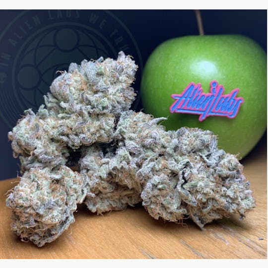 Alien Labs - Cosmic Crisp - Indoor - 1