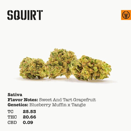 Farmer and the Felon - Squirt - Eighths (3.5g) - 1