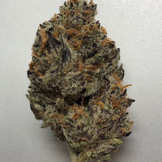 Iron Lung (Medical) - Peanut Butter Breath - 1