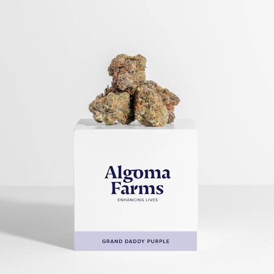 Algoma Farms - Grand Daddy Purple (GDP) - 1