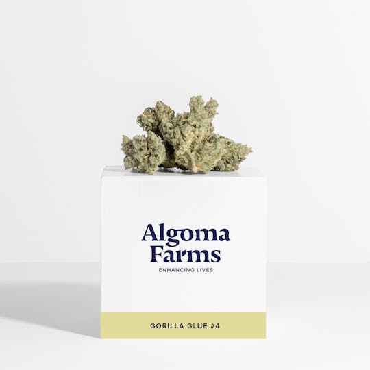 Algoma Farms - Gorilla Glue #4 - 1