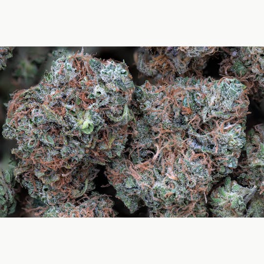 Crux Cannabis - Tahoe Fuel Flower - 1