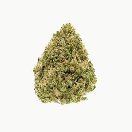 Flow Kana - Lemon Tree by Earthen Farms | Gold - 1