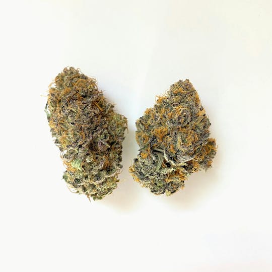 Indico - Lemon Grab - 1