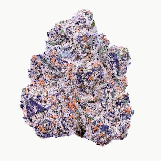 Alien Labs - KryptoChronic - Indoor - 1