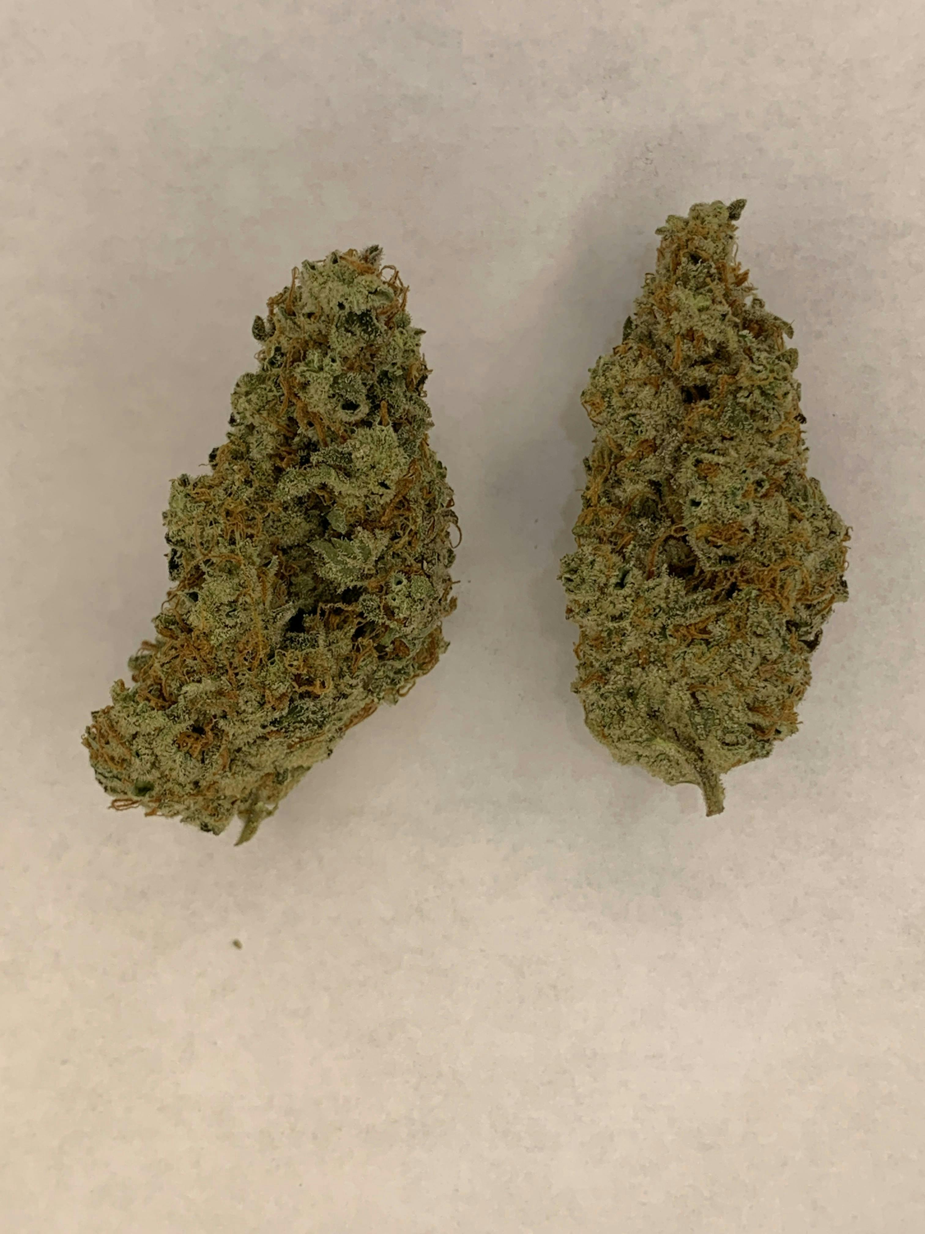 Indico - Cosmic Cookies - 1