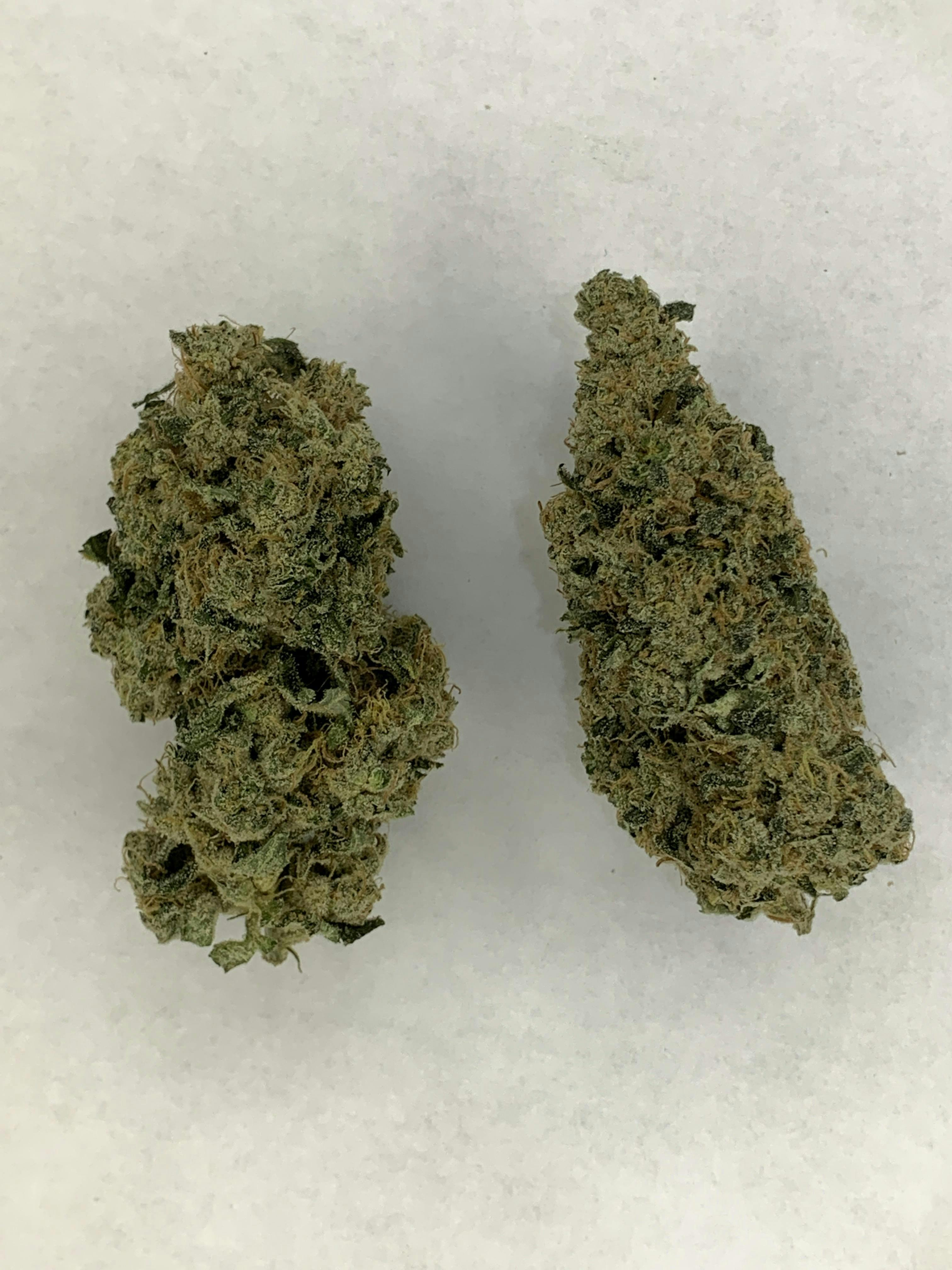 Indico - Sour Sour - 1