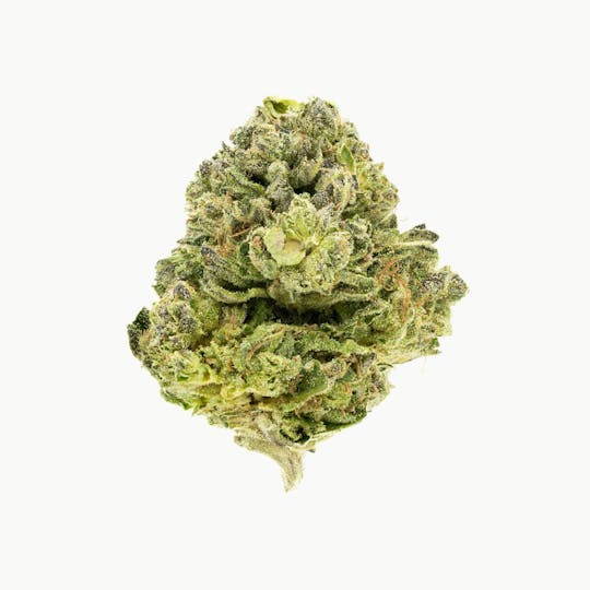 Flow Kana - Gelato 33 1g Preroll - 1