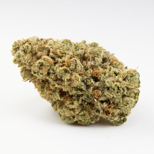 Snowblind Cannabis - WiFi - 1