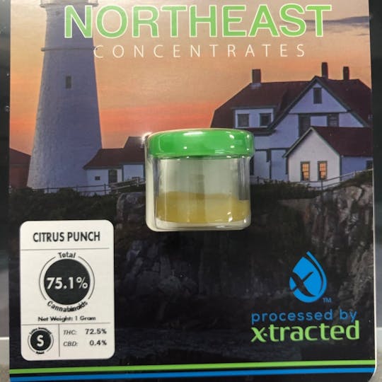 Refine New England (Medical) - Citrus Punch Northeast - 1