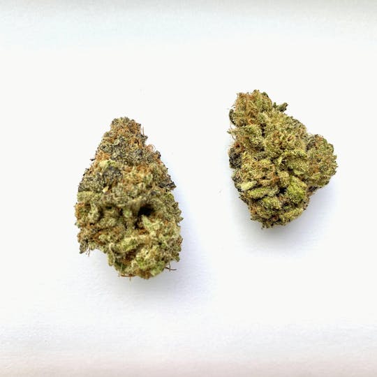 Indico - Bramble Berry - 1
