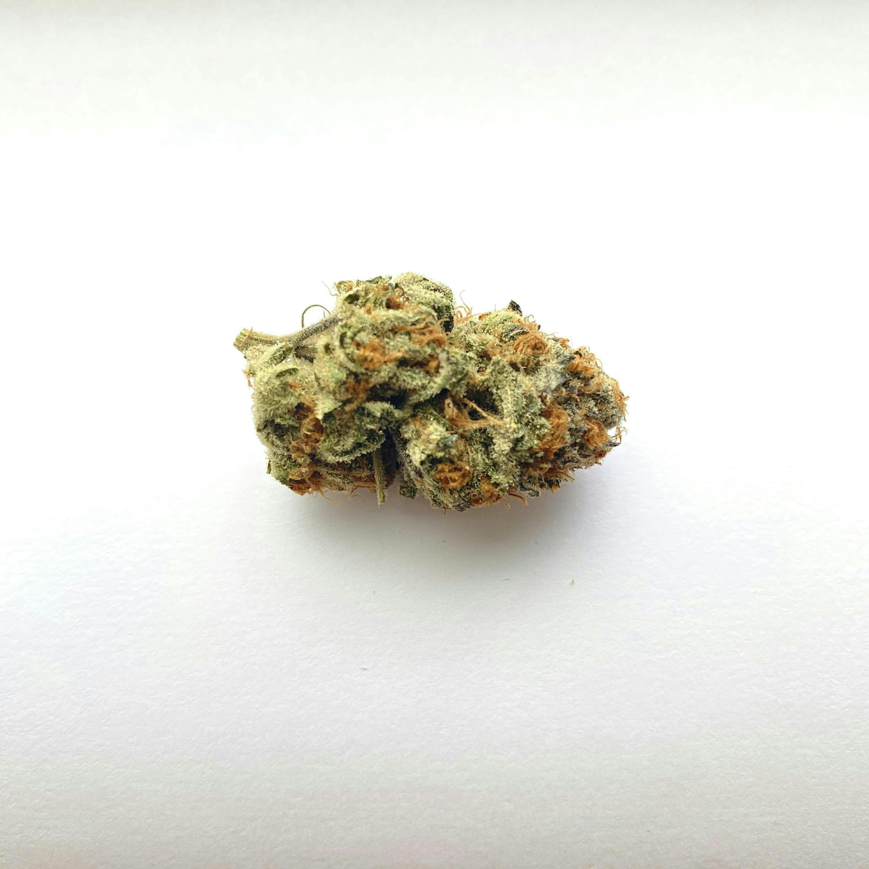 Indico - Tres Leches - 1