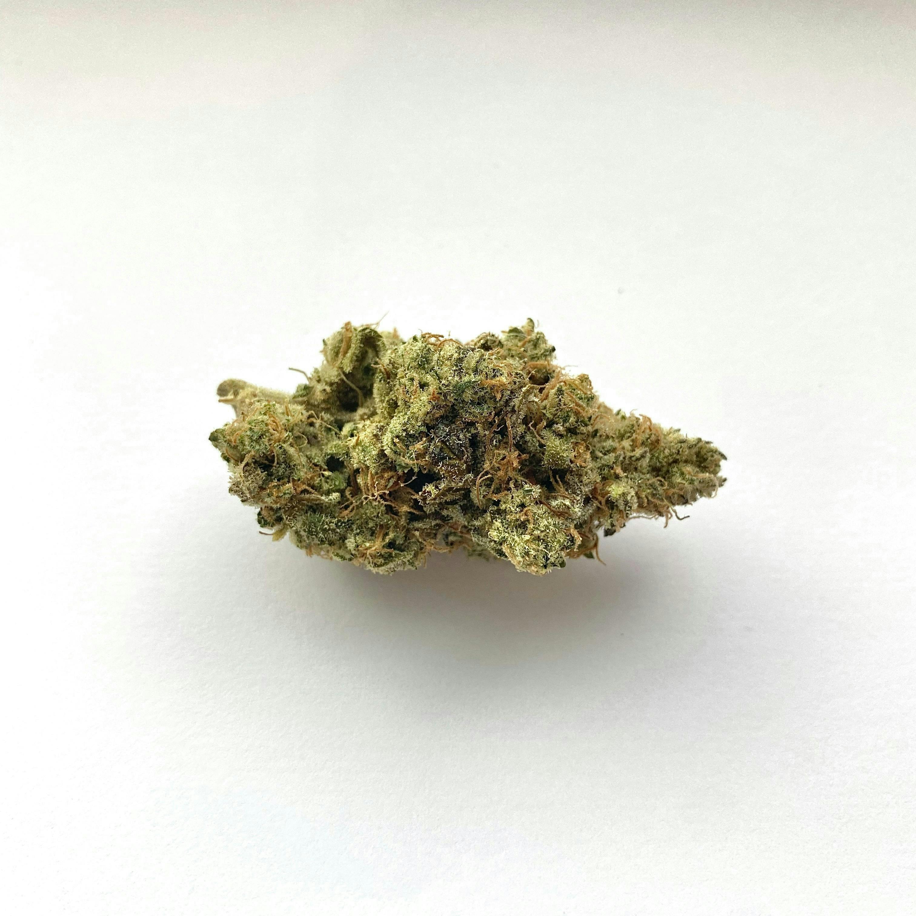 Indico - GG4 IBL - 1