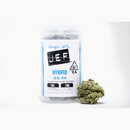 Hangin' with...JEF™ - JEF: GG#4 - 1