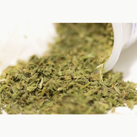 Hangin' with...JEF™ - JEF: Blue Dream - 1