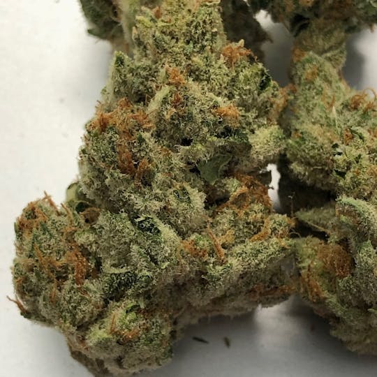 Iron Lung (Medical) - White Tahoe Cookies - 1