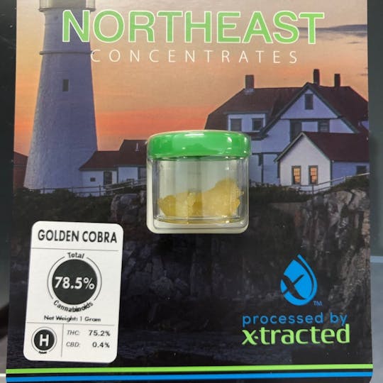 Refine New England (Medical) - Golden Cobra Northeast - 1