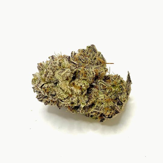 Indico - Peyote Gorilla - 1