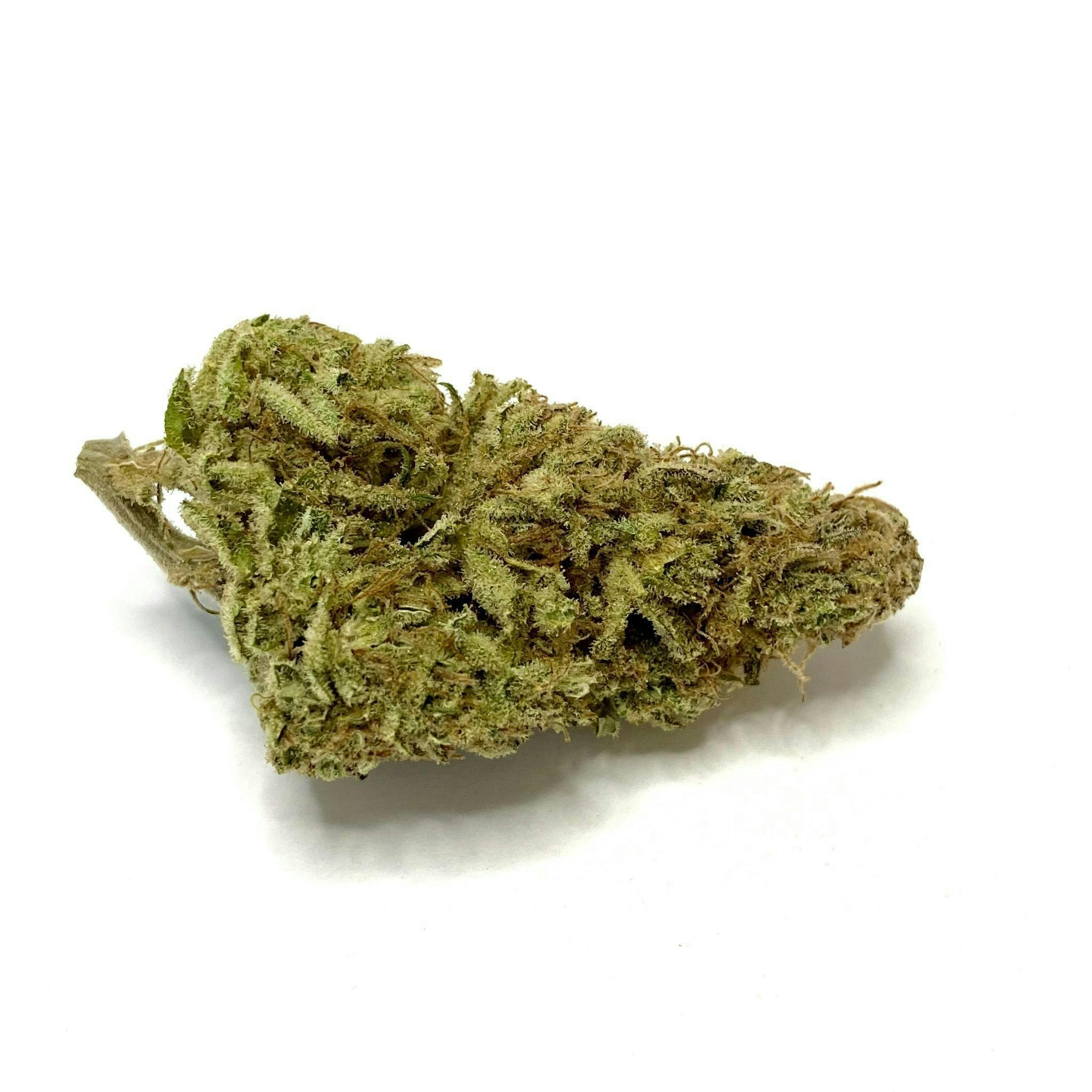 Indico - Candy Cream - 1